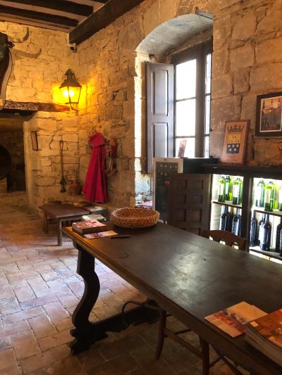 Visite guidée de la cave viticole du Palacio de los Mencos